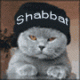 Аватар пользователя Shabbat